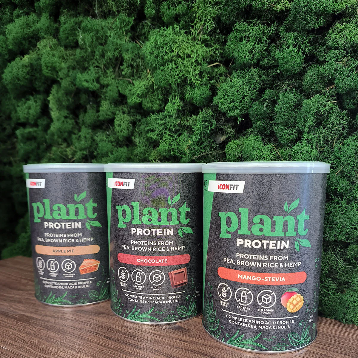 ICONFIT Plant Protein - 480g - Image 2