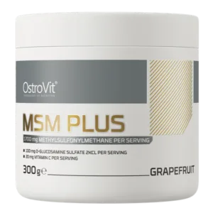 MSM Plus 300G - greippi