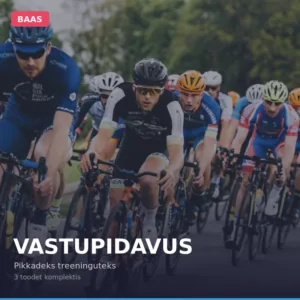 Kestävyys BAAS
