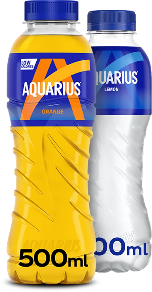 Aquarius - 12 x 500 ml